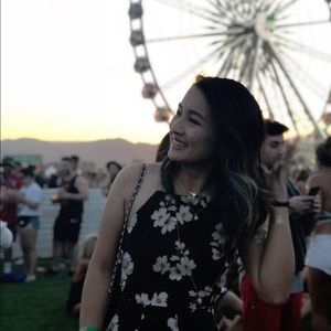 Brandy Melville dress